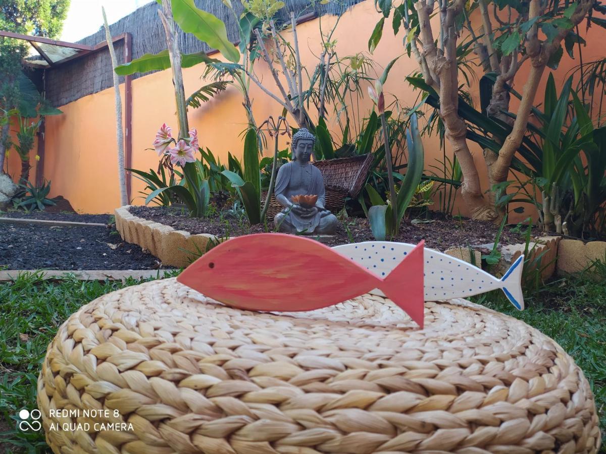 Energy Garden Villa Bajamar  Luaran gambar